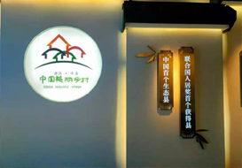 陳放院長(zhǎng)受邀考察中國(guó)美麗鄉(xiāng)村建設(shè)示范村-浙江安吉